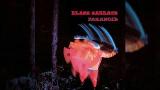 Music Video Black Sabbath - Paran (Full Album)
