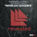 Download music Hardwell & Dyro feat. Bright Lights - Never Say Goodbye [OUT NOW] terbaru