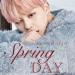 Download Spring Day - BTS Lagu gratis