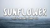Video Music Post Malone, Swae Lee - Sunflower (Lyrics) (Ser-Man: Into the Ser-Verse) Terbaru