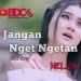 Download music Nella Kharisma - Jangan Nget Ngetan terbaru - zLagu.Net