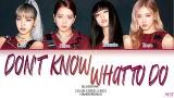 Video Lagu BLACKPINK - DON'T KNOW WHAT TO DO Lirik terjemahan Indonesia Gratis di zLagu.Net