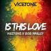 Download mp3 Terbaru Is This Love (Vicetone Remix) - Bob Marley gratis