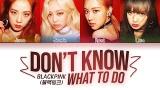 Video Lagu BLACKPINK - Don't Know What To Do (Color Coded Lyrics Eng/Rom/Han/가사) 2021