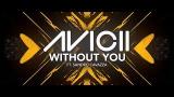 Download Lagu Avicii - Without You ft. Sandro Cavazza [Lyric eo] Terbaru - zLagu.Net