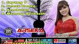 Download Lagu Sayang 9 | Penak Konco | Rembulan | Memory Berkasih - Campursari ARSEKA MUSIC Live Ds. ngmiri Musik di zLagu.Net