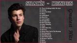 Download Vidio Lagu Shawn Mendes - Best Lagu Pop Terbaru 2019 Hits Musik di zLagu.Net