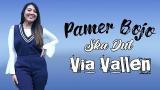 Download Vidio Lagu Via Vallen - Pamer Bojo SKA DUT Version Terbaik di zLagu.Net