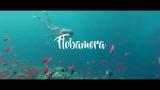 Download Video Flobamora Mari Bersatu-Lirik Lagu Flores Terbaru
