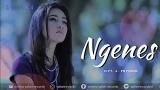 Video Lagu Terbaru Banyuwangi | Ngenes - Denik Armila ( Official ic eo ANEKA SAFARI ) Terbaru