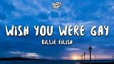Video Lagu Music Billie Eilish - wish you were gay (Lyrics) Gratis - zLagu.Net