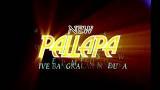 Download Vidio Lagu Mandul - New Pallapa Gratis di zLagu.Net