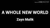Video Musik A WHOLE NEW WORLD ( Soundtrack Aladdin ) - Zayn Malik ( Lyrics ) Terbaru
