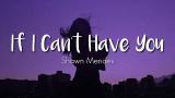 Download Shawn Mendes - If I Can't Have You Lyrics | Terjemahan Indonesia Video Terbaik - zLagu.Net