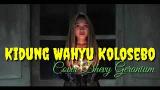 Lagu Video ung Wahyu Kolosebo - Dhevy Geranium | lirik |ung Wahyu kolosebo dan arti 2021