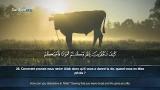 Download Video Lagu 002 Sorat Al Baqara Ahmed Nufays سورة البقرة أحمد النفيس Music Terbaik di zLagu.Net