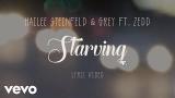 Download Video Lagu Hailee Steinfeld, Grey - Starving (Lyric eo) ft. Zedd Gratis
