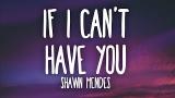 Download Lagu Shawn Mendes - If I Can't Have You (Lyrics) Music