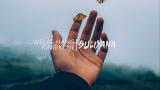 Music Video Suliyana - Welas hang ring kene (original ic lirik)