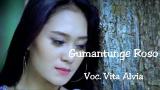 Download Video Gemantunge Roso - Vita Alvia Full Lirik Gratis - zLagu.Net