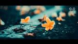 Video Demi Tuhan Aku Ikhlas - Armada ft Ifan Seventeen | Lirik Terbaru di zLagu.Net
