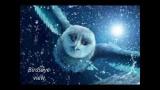 Video Owl City- To The Sky Lyrics Terbaru
