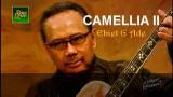 Download Lagu Ebiet G Ade CAMELLIA II - Lirik (HD) Music