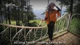 Download Video Lagu Ning angen tak titep ne roso kangen marang sliramu (dwi putra-lintang ati) lyrics Terbaru - zLagu.Net