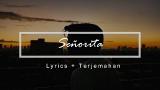 Download Vidio Lagu Shawn Mendes, Camila Cabello - Señorita (Lyrics + Terjemahan Indonesia) Musik di zLagu.Net