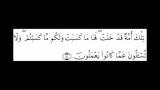 Download Video 02 Surah al Baqarah Ayat 131 to 145 (Abdul Bassett) Verse By Verse baru