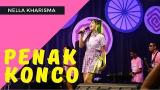 Video Music Nella Kharisma - Penak Konco ( Official ic eo ANEKA SAFARI ) ic Terbaru