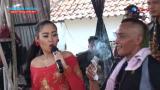 Lagu Video Manuk Dara Sepasang - Anik Arnika | Dewa Nada Pantura Live Gagasari Terbaru 2021 di zLagu.Net