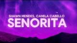 Video Music Shawn Mendes, Camila Cabello – Señorita (Lyrics) Terbaru
