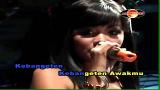 Download Lagu Dian Marshanda - Ilat Tanpo Balung [OFFICIAL] Music