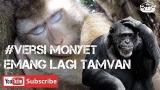 Video Lagu Emang lagi tampan Siti Badriah baru versi monyet Terbaru 2021