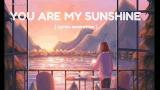 Music Video You Are My Sunshine - cover Nada & Lutfhi ( Lirik Terjemahan Indonesia ) Terbaru
