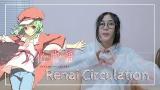 Download Vidio Lagu Bakemonogatari - Renai Circulation「恋愛サーキュレーション」cover by MindaRyn Gratis di zLagu.Net