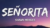 Video Lagu Shawn Mendes, Camila Cabello - Señorita (Lyrics) Letra Terbaru 2021
