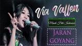 Video Musik Via Vallen- 'JARAN GOYANG' (Official ik Records mp.4) di zLagu.Net