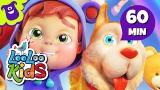 Lagu Video Bingo - Cool Songs for Children | LooLoo s Terbaik di zLagu.Net