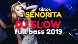 Lagu Video Dj senorita full bass 2019 | djslow senorita remix tiktok Terbaru 2021