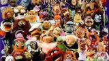 Download Vidio Lagu The Muppet — Lagu Dalam Impian Musik di zLagu.Net