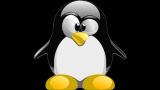 Video Lagu Lagu Senam Pinguin Download Musik baru di zLagu.Net