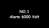 video Lagu Alarm Unik Mp3 Download Music Terbaru