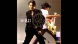Download Video Bird & Sek - Sabai Sabai Music Terbaik - zLagu.Net