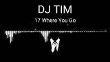 Download Video Lagu 17 DJ TIM -Where You Go PLANET DISCOTHEQUE 2021