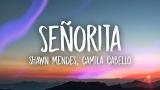 Download Video Shawn Mendes, Camila Cabello – Señorita (Lyrics)