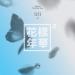 Butterfly Beat - BTS (Bangtan Boys) Music Free