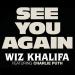 Wiz Khalifa Ft. Charli Puth - See You Again (DJ EMIL & DJ ROLAND REMIX) lagu mp3