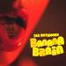 Download lagu DIE ANTWOORD - BANANA BRAIN terbaru